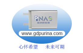 心懷希望，未來可期！PNAS誠招銷售精英
